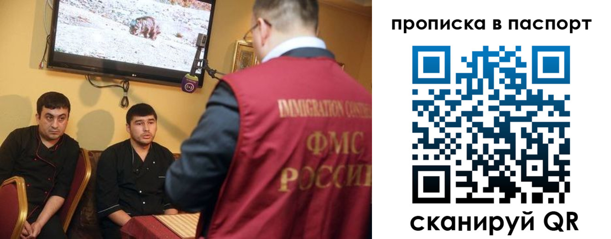 прописка в Борзе